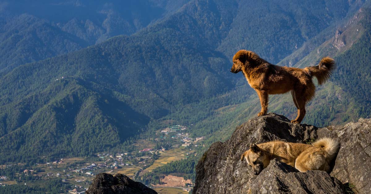 What Traveling to Bhutan Is Really Like: Culture, GNH & Modern Realities