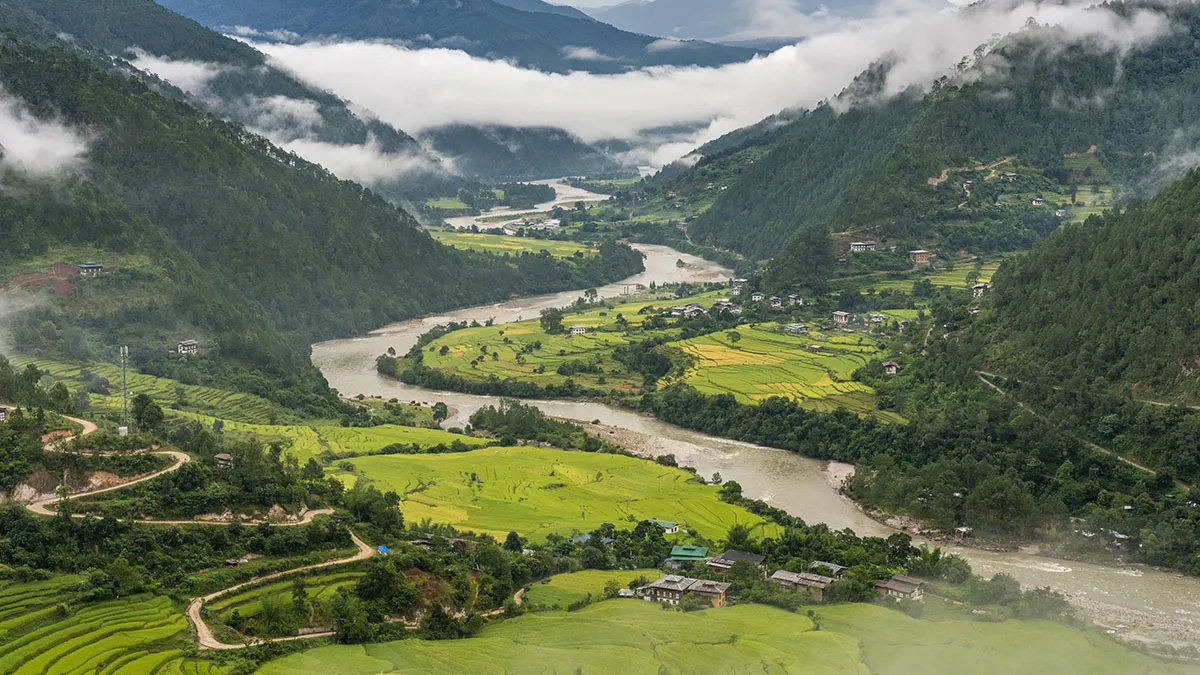 Punakha Farmland