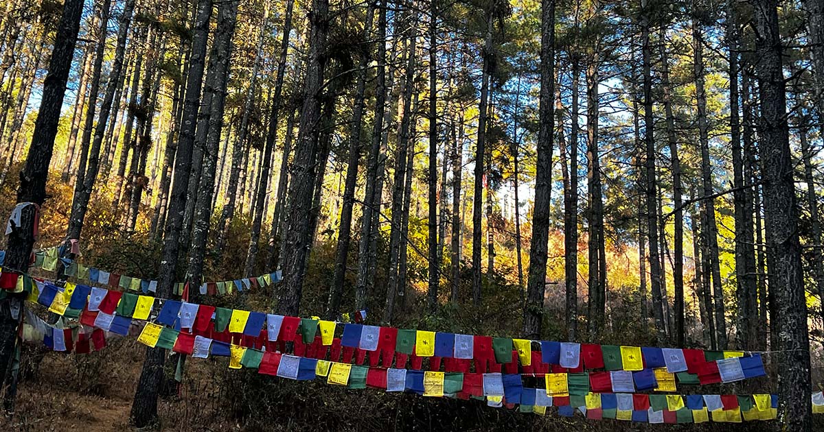 Digital Detox: Why Bhutan is the Perfect Place to Disconnect and Find Peace