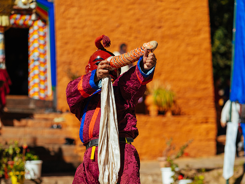 6 Days Rhododendron Festival Tour